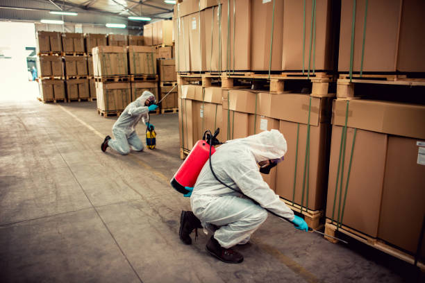 Best Commercial Pest Control Services  in Noel, MO